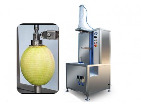 Vertical Watermelon Papaya Peeling machine