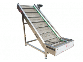 Vegetable Fruit Elevator Conveyor