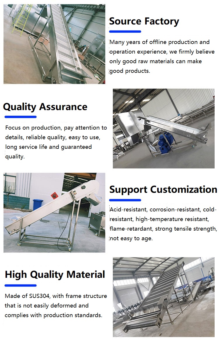 food industry conveyor